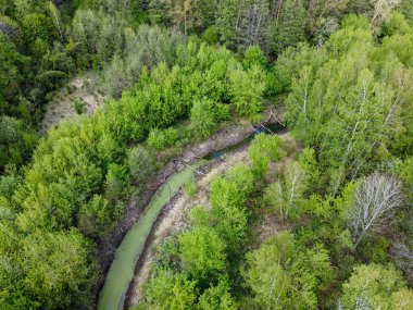 İlkbaharda ağaçların arasında küçük bir nehir, hava manzarası. Orman nehri.