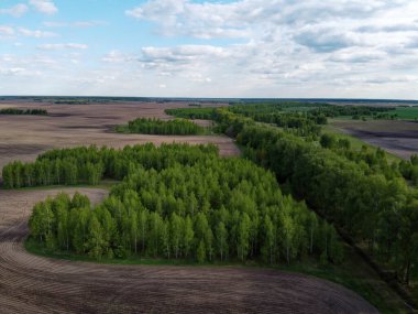 Yeşil koru tarlalarla çevrili, hava manzaralı. Güzel manzara.