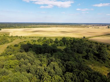 Mavi gökyüzünün altında yoğun yeşil orman, güneşli yaz havası. Manzara.