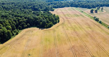 Yeşil bir ormanın yanında büyük bir çiftlik alanı, hava manzaralı. Manzara.