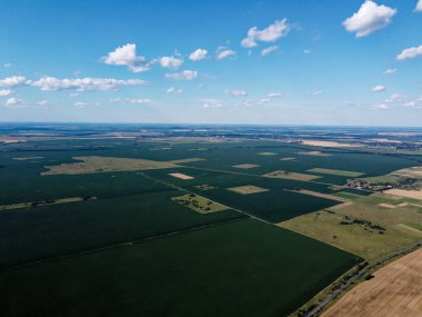 Güzel tarımsal manzara, açık arazi mavi gökyüzü ve beyaz bulutlar. Kuş bakışı tarlalar.