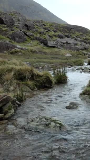 Córrego Claro Montanha Que Flui Entre Arredores Rochosos Ajustado Cima — Vídeo de Stock