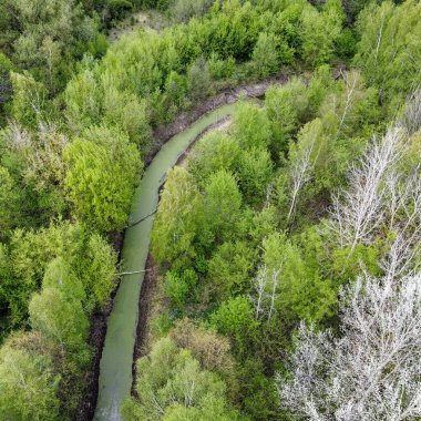 İlkbaharda ağaçların arasında küçük bir nehir, hava manzarası. Orman nehri.