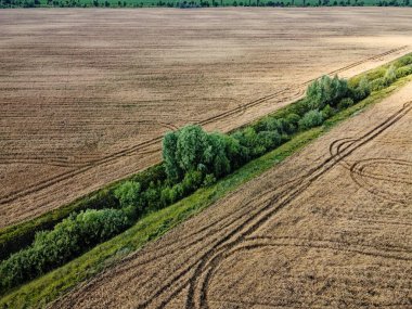 Eski bir sulama kanalı buğday tarlası ve hava manzarası arasında ağaçlarla kaplı. Arazide kuru sulama kanalı, manzara..