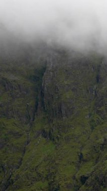 Kalın sis, dağ sırasının yeşil alanına gizemli bir hava katıyor. Dikey video. pan