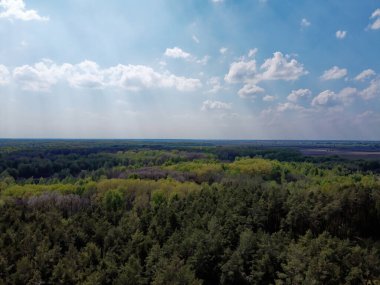 Yoğun bir ormanın üzerindeki mavi bulutlu gökyüzü, hava manzarası. Ormanın üzerinde güzel bulutlu gökyüzü.