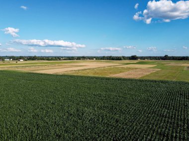 Güzel tarımsal manzara, açık arazi mavi gökyüzü ve beyaz bulutlar. Kuş bakışı tarlalar.