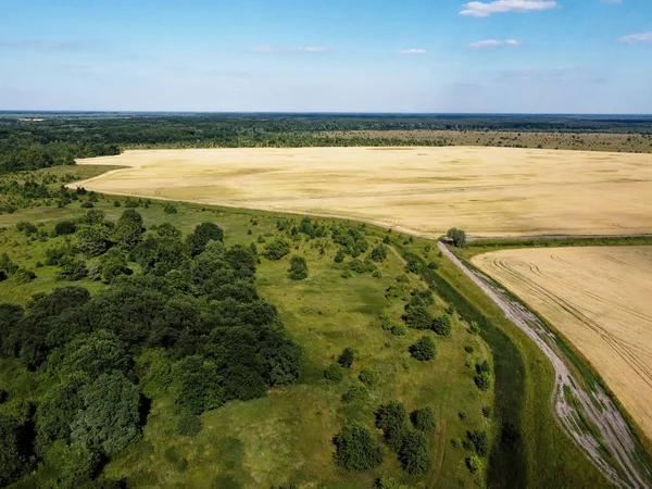 Bir tarlanın yanındaki yeşil yaprak döken orman. Kuş bakışı manzaralı bir yer. Güneşli hava.