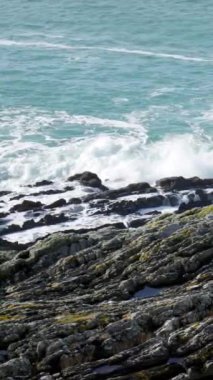 Karanlık ve pürüzlü kayalarla süslenmiş kayalık bir kıyı şeridi okyanus dalgalarının çarpması karşısında kararlıdır. Denizin derin mavi-yeşil genişliği ve dalgalar köpüklü beyaz köpük. Dikey video, yan.