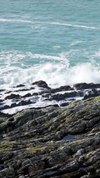 海の波の衝突に直面して決着した 暗くジャグジーの岩で飾られた岩の海岸線 海の深い青緑と波 凍った白い泡 垂直ビデオ — ストック動画