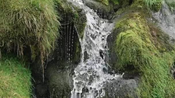 Malý Vodopád Přirozeném Prostředí Mechem Trávou Skalách Přiblížit — Stock video