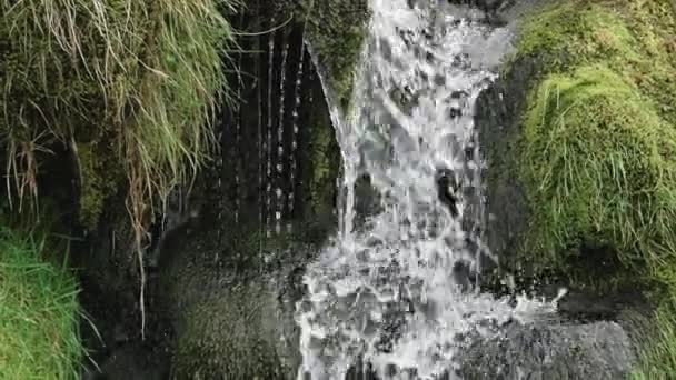 Vodopád Zeleným Mechem Trávou Stranách — Stock video
