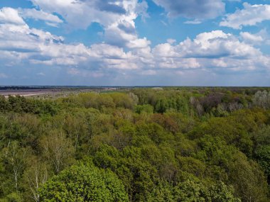Yoğun bir ormanın üzerindeki mavi bulutlu gökyüzü, hava manzarası. Ormanın üzerinde güzel bulutlu gökyüzü.