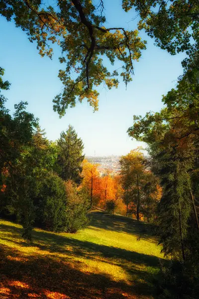 Beautiful Autumn Landscape Vibrant Trees City View Distance Park Petrin Stock Image