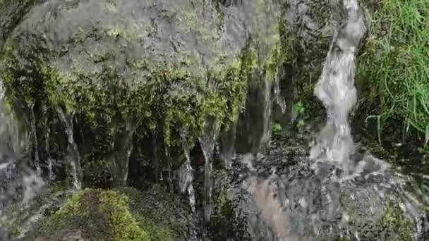 Ein Kleiner Wasserfall Der Moosbewachsene Felsen Hinunterstürzt — Stockvideo