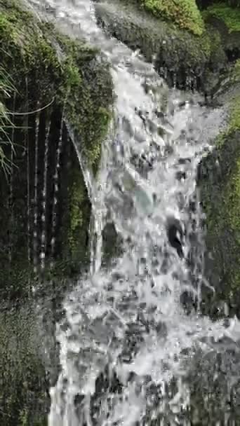 Vodopád Vodou Tekoucí Přes Skály Zeleň Svislé Video — Stock video