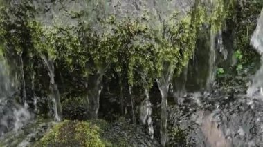 Doğal ortamdaki bir şelalenin yakın çekim görüntüsü. yakınlaştır