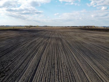 Tedavi edilmiş çiftlik alanı, hava manzarası. Tarım arazisi.