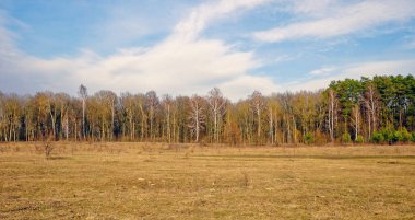 Bir manzara fotoğrafı, kuru otlarla kaplı bir tarlayı, ufukta mavi bir gökyüzünün altında bulutlarla kaplı ağaçları yakalar..
