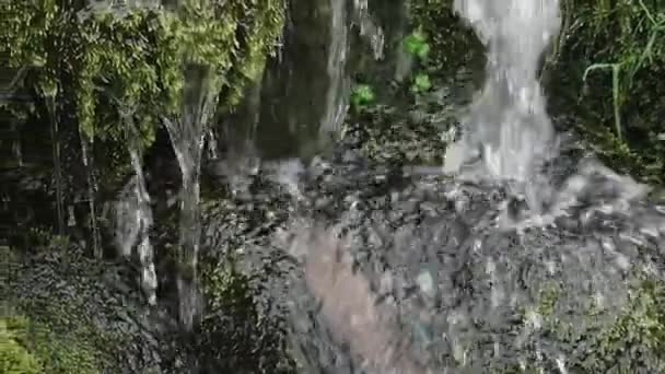 Een Foto Overdag Van Een Waterval Met Omringend Groen Pano — Stockvideo