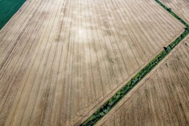Eski bir sulama kanalı buğday tarlası ve hava manzarası arasında ağaçlarla kaplı. Arazide kuru sulama kanalı, manzara..