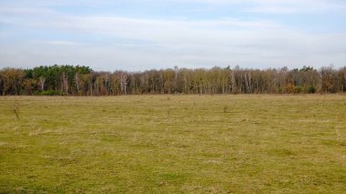 Görüntü, bulutlu mavi gökyüzünün altında ağaçlardan oluşan kuru bir çim tarlası sergiliyor..