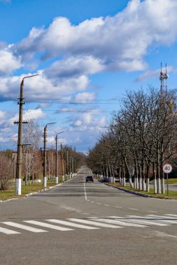 Mavi gökyüzünün altında yapraksız ağaçlarla dolu uzun düz bir yol..