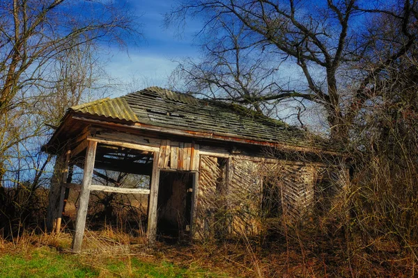 Kırsal Bir Ortamda Bakımsız Bir Şekilde Büyümüş Bir Kulübe — Stok fotoğraf