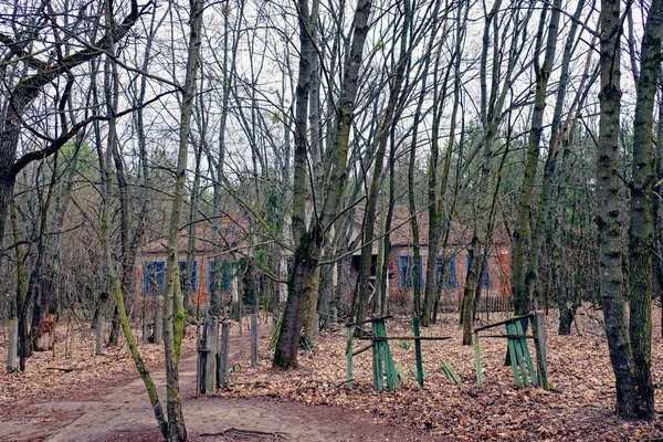 Заброшенное Одноэтажное Здание Лесу Фасад Заброшенного Детского Сада Чернобыльской Радиоактивной — стоковое фото