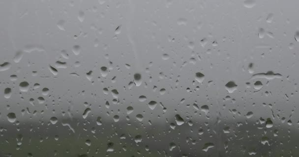 ウィンドウ上の雨の日中ビデオ 背景に緑のフィールド ズームアウト — ストック動画