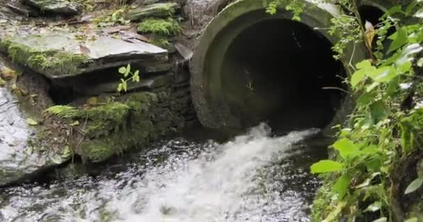 Water Stroomt Uit Een Pijp Omringd Door Mossige Rotsen Langzame — Stockvideo