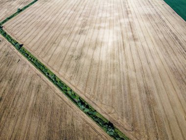 Eski bir sulama kanalı buğday tarlası ve hava manzarası arasında ağaçlarla kaplı. Arazide kuru sulama kanalı, manzara..