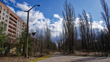 Çernobil Yasak Bölge, Ukrayna 'da terk edilmiş sanayi bölgesi. Pripyat 'ın merkez caddesinde büyük kavak ağaçları. Çernobil sınırlama bölgesindeki hayalet kasaba. Peyzaj.