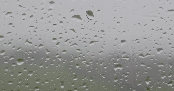 ウィンドウ上の雨のビデオ ズームアウト — ストック動画
