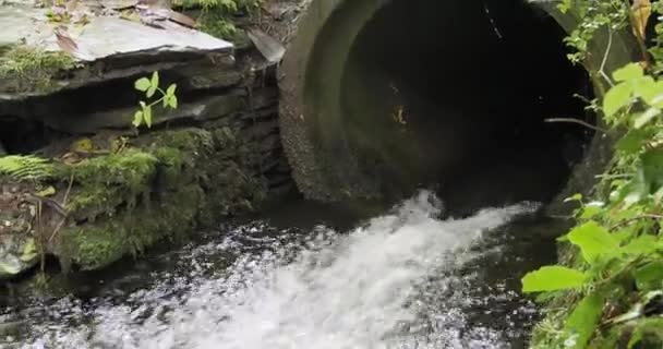 Ein Rohr Einem Waldgebiet Das Einen Wasserstrom Freisetzt Zeitlupe Auszoomen — Stockvideo