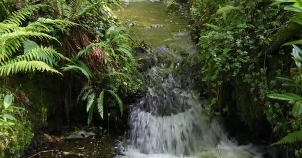 Spokojny Wodospad Sercu Tropikalnego Lasu Zwolnij Trochę Zbliżenie — Wideo stockowe