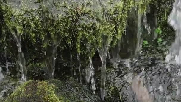 Klidná Vodopád Scéna Trávou Rostoucí Skalách — Stock video