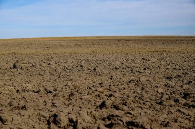 Tarla kahverengi ve gökyüzü mavi..