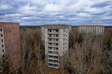 Çürüyen yüksek binalar vahşi bitki örtüsünün ortasında, bir şehir çürümesi manzarası..