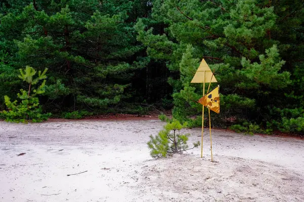 A yellow and black warning sign in a forest, trees. The sign is attached to a post and has trees in the background. Radiation pollution sign near trees in the Chernobyl exclusion zone.