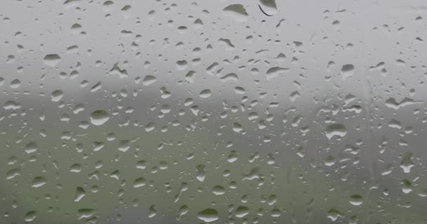 雨の日を眺めながら窓に雨が降るビデオ パノール — ストック動画