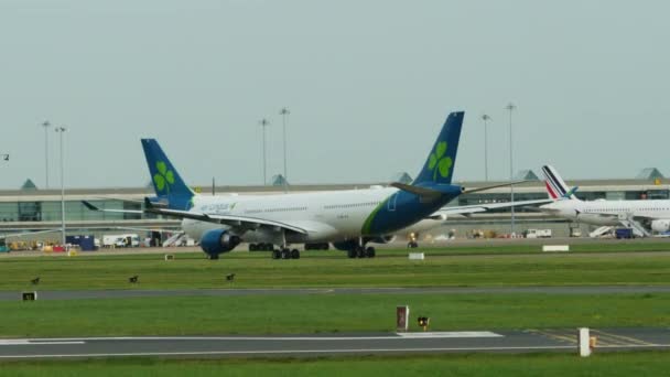 Dublin Ireland October 2023 Video Captures Airplane Tarmac Clear Skies — Stock Video
