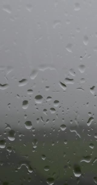 窓に雨が降り注ぐビデオです 緑の野原と木が焦点を当てていない背景にあります バーティカルビデオ パノール — ストック動画