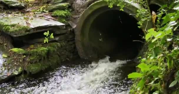 Potrubí Uprostřed Zeleně Něhož Teče Zpěněná Voda Přiblížit — Stock video