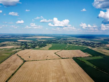 Yazın bir tarlada olgun tahıllar, en iyi manzara. Açık mavi gökyüzü tarlaların üzerinde, kuş bakışı manzara.