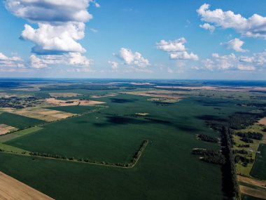 Güzel tarımsal manzara, açık arazi mavi gökyüzü ve beyaz bulutlar. Kuş bakışı tarlalar.