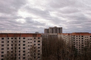 Birçok penceresi olan gri binalar bulutlarla dolu bir gökyüzünün altında çorak ağaçlarla çevrilidir..