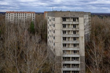 Aşırı büyümüş ağaçlar terk edilmiş, harap olmuş apartmanları yutuyor..