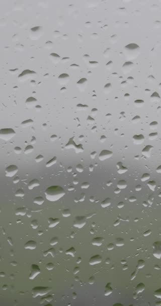 Video Raindrops Window Taken Gray Day Vertical Video — ストック動画