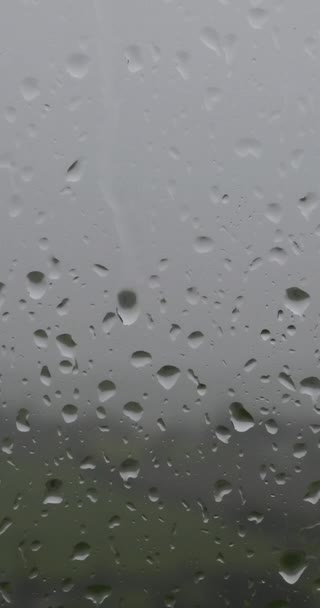 Video Raindrops Window Blurred Background Green Field Vertical Video — ストック動画